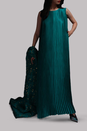 Shady Glade Pleated Raw Silk Maxi with Embellished Dupatta