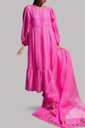 Diva Pink Organza Crystal Embellished Set