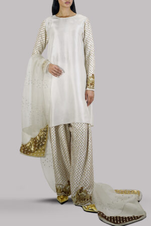 Egret Embellished Raw Silk Set