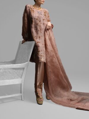 Cameo Rose Embellished Organza Tunic Set