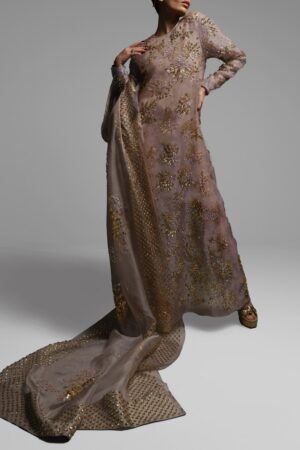 Taupe Gray Embellished Organza Maxi Set