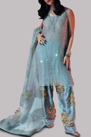 Aqua Embellished Organza Set