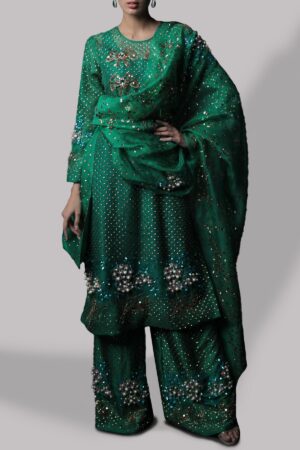 Emerald Green Organza Set