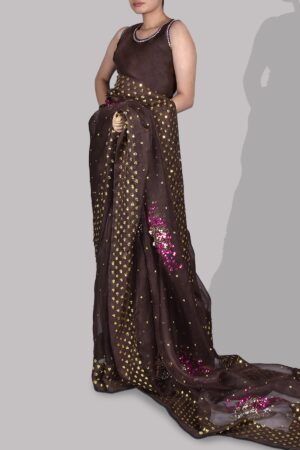 French Roast Embellished Organza Sari