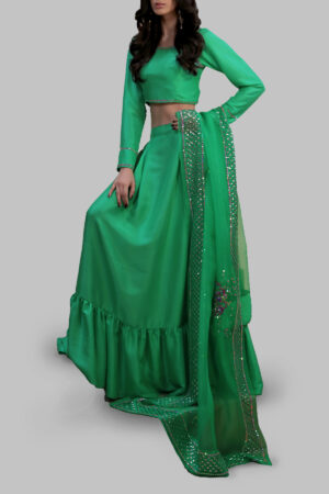 Spring Bud Embellished Lehenga Choli Set