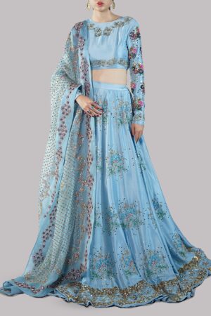 Baltic Sea Lehenga Choli Embellished Set