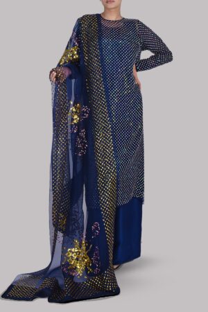 Black Iris Embellished Organza Set