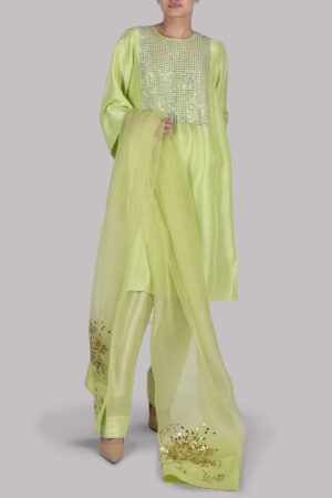 Lime Punch Embellished Raw Silk Set