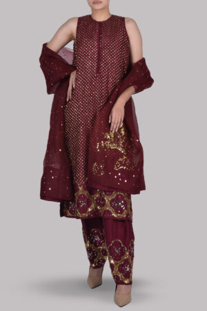 Tawny Port Burgundy Embellished Raw Silk Set
