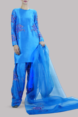 Indigo Bunting  Embellished Raw Silk Set