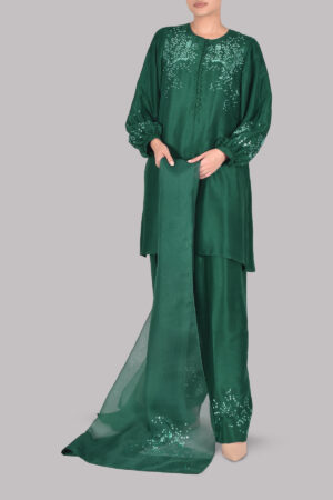 Galapagos Green Embellished Raw Silk Set