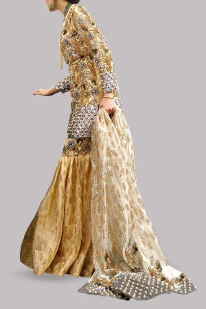 Gold Embellished Gharara Set