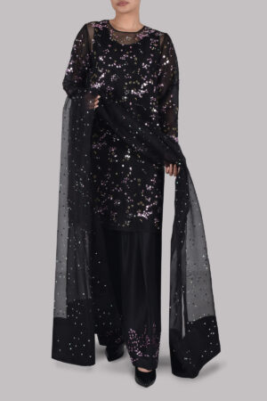 Black Embellished Organza Set