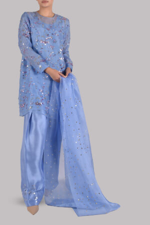 Forever Blue Embellished Organza Set