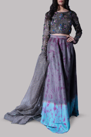 Steeple Grey and Blue Radiance Embellished Skirt Set