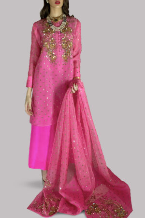 Azalea and Diva Pink Embellished Organza Set