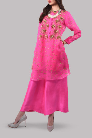 Diva Pink Embellished Organza Set