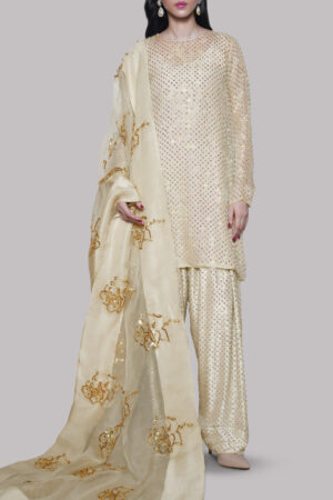 White Swan Embellished Organza Set