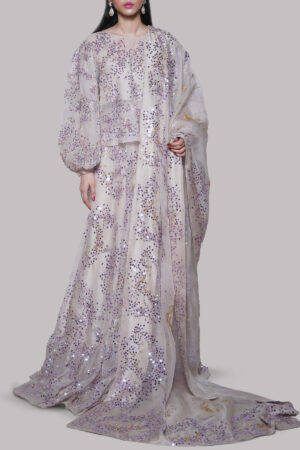 Silver Grey Embellished Organza Skirt Set