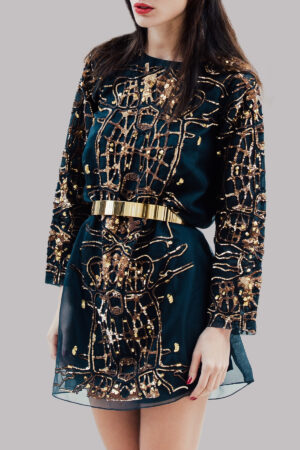 Black Iris Organza Embellished Dress