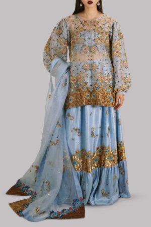 Cashmere Blue Embellished Organza Skirt Set