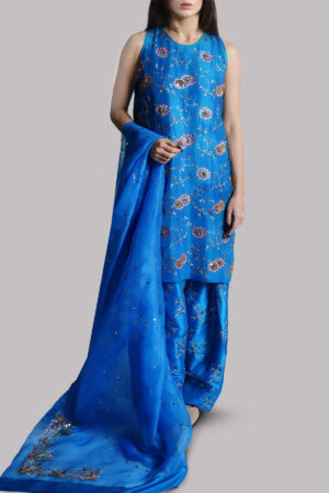 Indigo Bunting Embellished Raw Silk Set