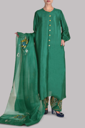 Galapagos Green Embellished Raw Silk Set